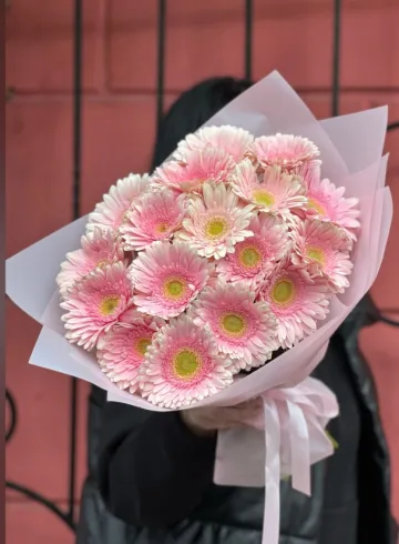 Букет из 17 нежно-розовых гербер от интернет-магазина цветов в 