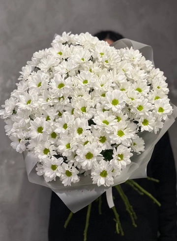 Моно букет из 15 белых хризантем от интернет-магазина цветов в 