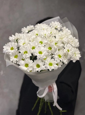 Моно букет из 9 белых  кустовых хризантем от интернет-магазина цветов в 