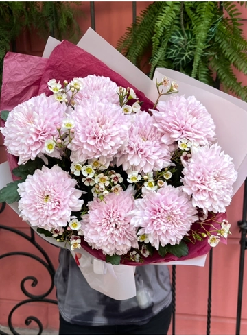 Моно букет из 9 пудровых хризантем  от интернет-магазина цветов в 